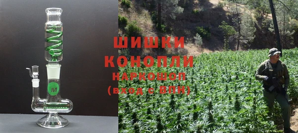 гашик Белокуриха